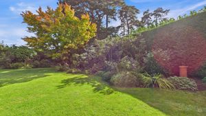 Photo 7- click for photo gallery